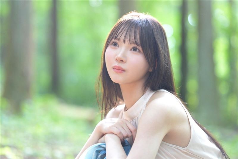 绿野仙踪风格封面