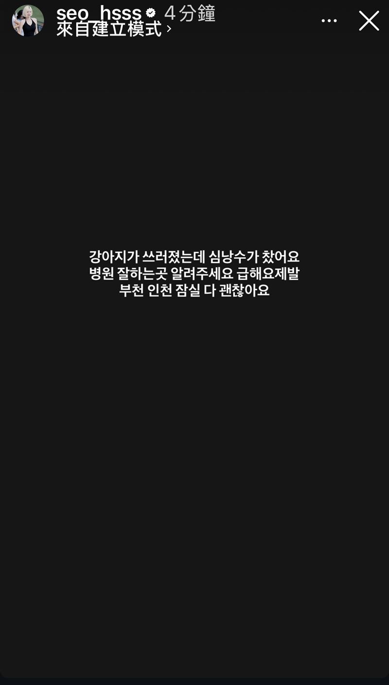 徐賢淑 IG限時動態截圖