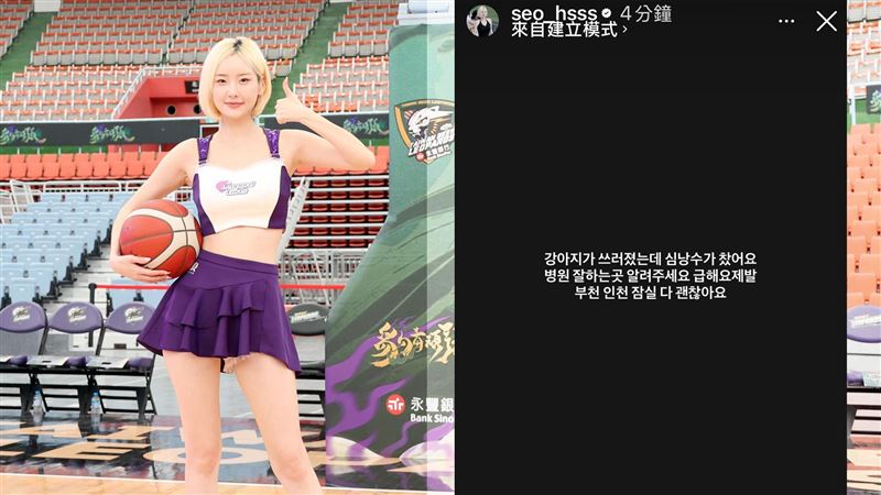 徐賢淑在台灣與韓國兩地人氣