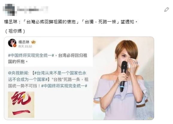 楊丞琳的舊言論引爭議