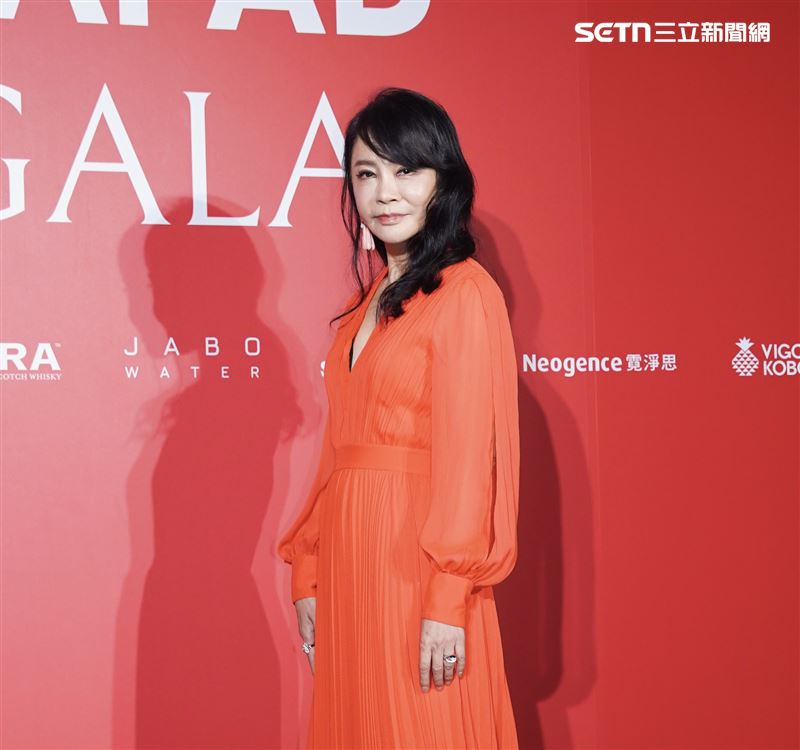 柴智屏访谈截图