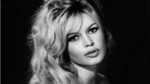 碧姬芭杜基金会照片