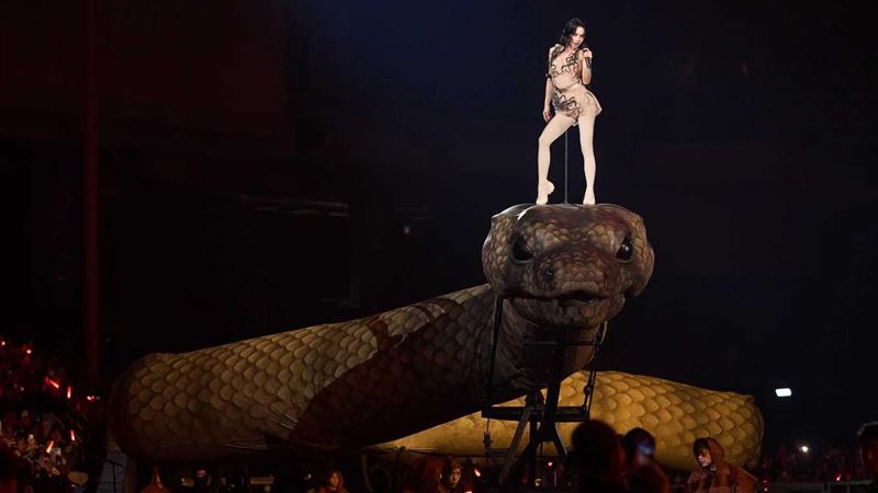 蔡依林PLEASURE演唱會封面