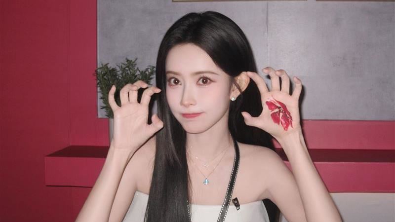 黃曉明好老闆案例