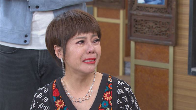 錦雯 概覽圖