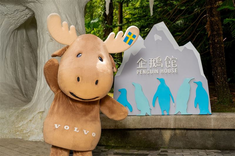 VOLVO黑腳企鵝認養活動
