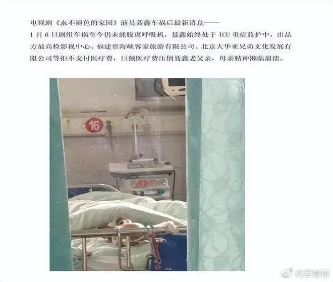 聶鑫車禍與醫療撫恤