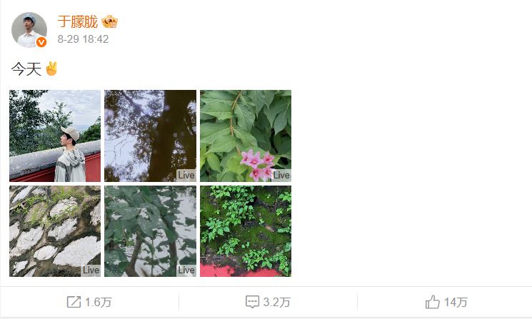 社媒动态截图