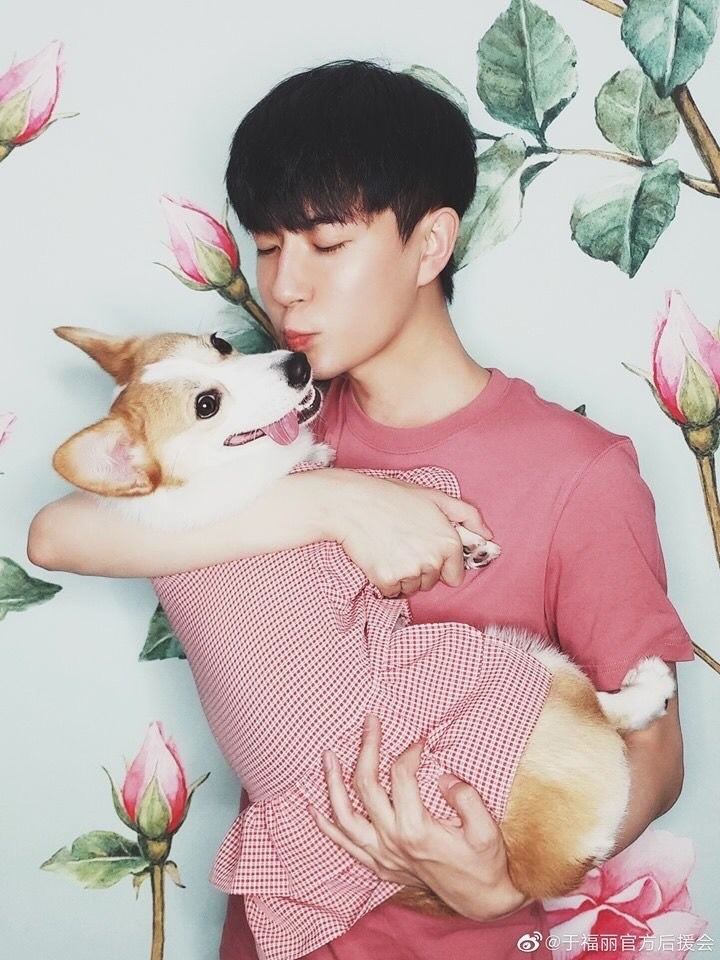 疑似音频截图与微博转发图片