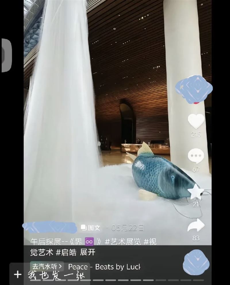 动物照眼睛设计对比图