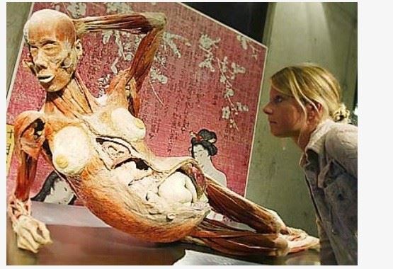 孕婦標本疑似張偉傑