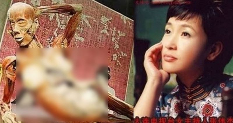 人体奥妙展现场图片