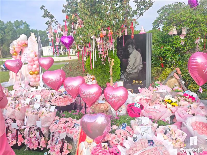 粉丝在墓园摆满粉色鲜花与气球