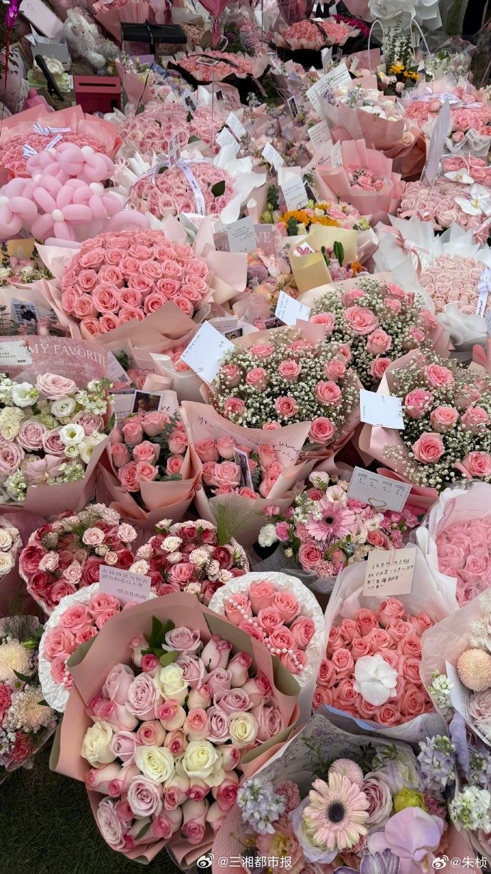 好友朱楨前来墓园悼念