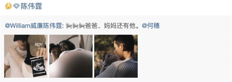 網友熱議陳偉霆何穗的婚姻與家庭