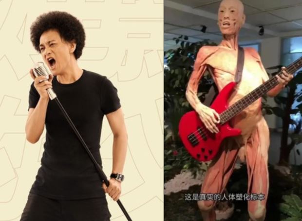 标本姿势对比图