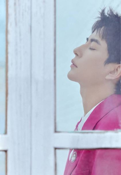 網路討論與專家聲音