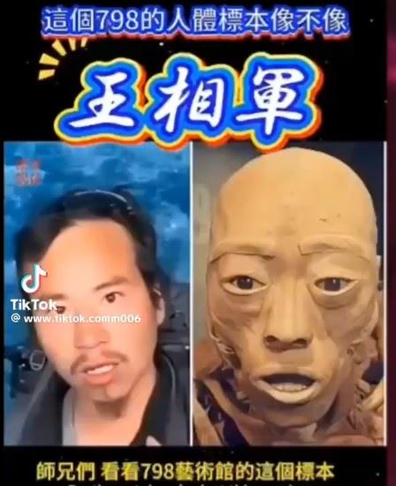 北京798藝術區標本傳聞